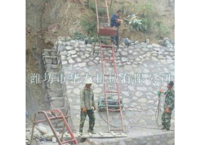 點(diǎn)擊查看詳細(xì)信息<br>標(biāo)題：華友機(jī)械建筑用爬山虎 閱讀次數(shù)：5833
